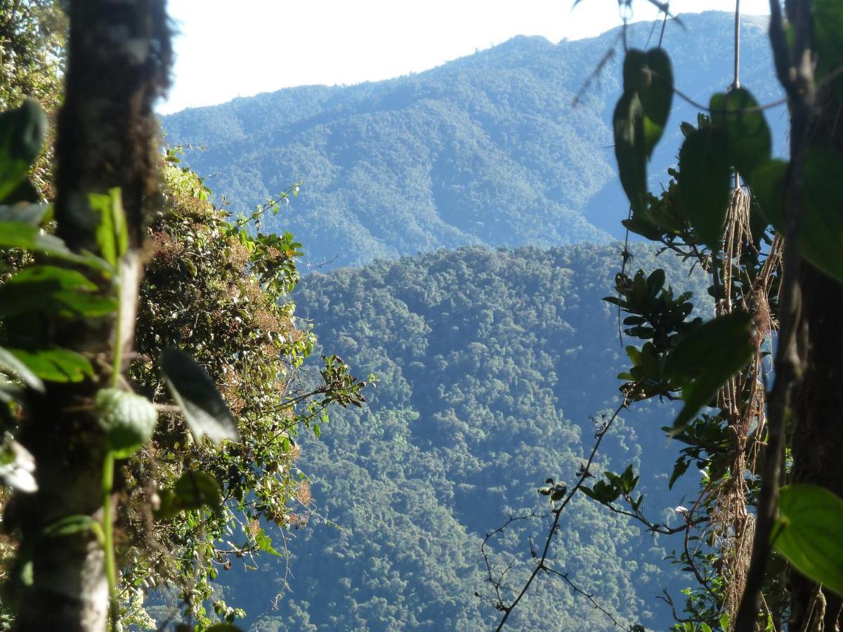 Patricia And Ned'S Cloud Forest Farm Cotacachi Exteriér fotografie