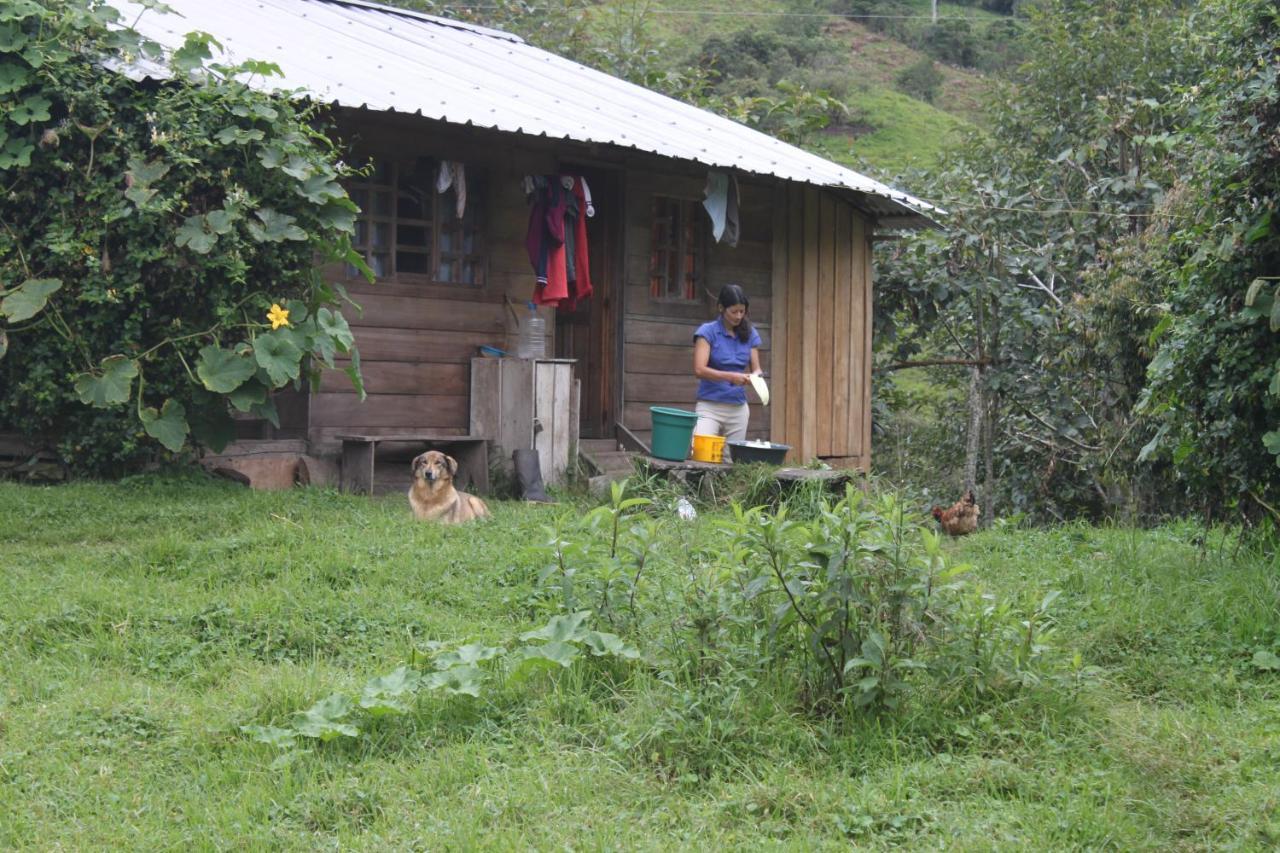 Patricia And Ned'S Cloud Forest Farm Cotacachi Exteriér fotografie